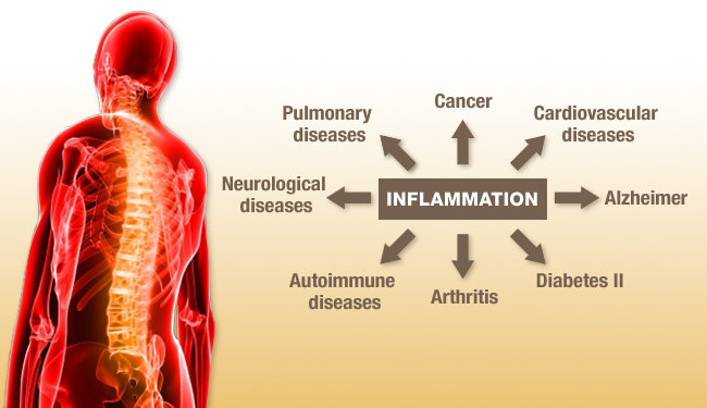 inflammation- toxins in the body