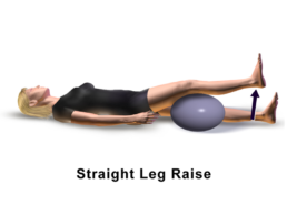 Knee Pain Exercise